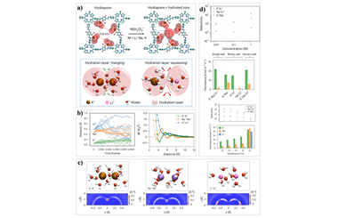 Dynamic hydrapores in a COF monolayer: Hydration-layer merging and squeezing for monovalent ion sieving 2026.101128